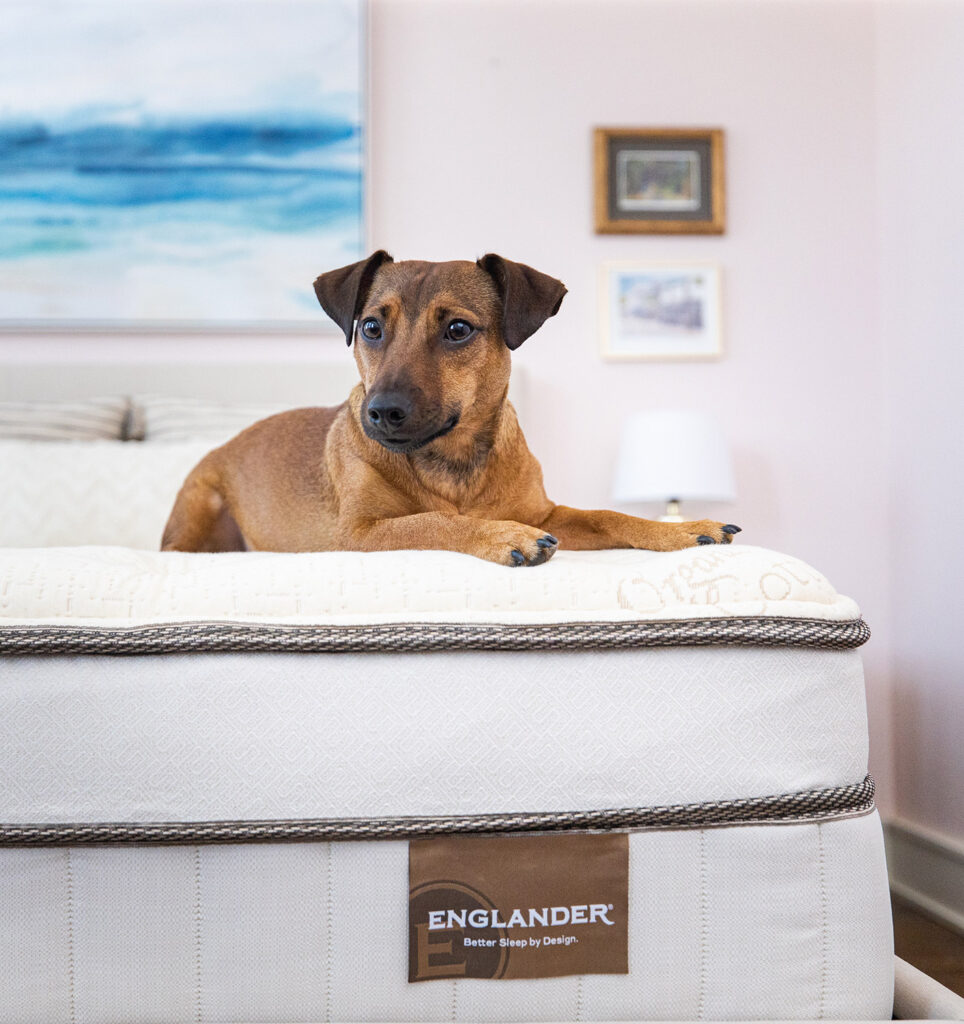 Englander-2019-NovoStudio7E7A7372_r